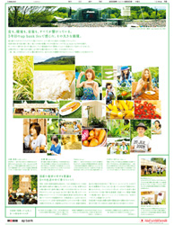 8月20日付朝刊