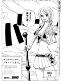 2009年12月４日付朝刊　全15段　8面『ONE PIECE（ワンピース）』