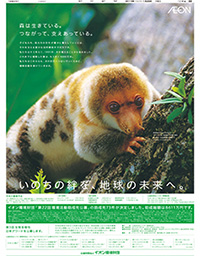 2013年1月28日付　朝刊